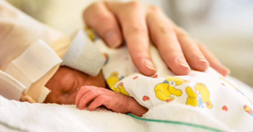 A neonate cuddling with it's mother