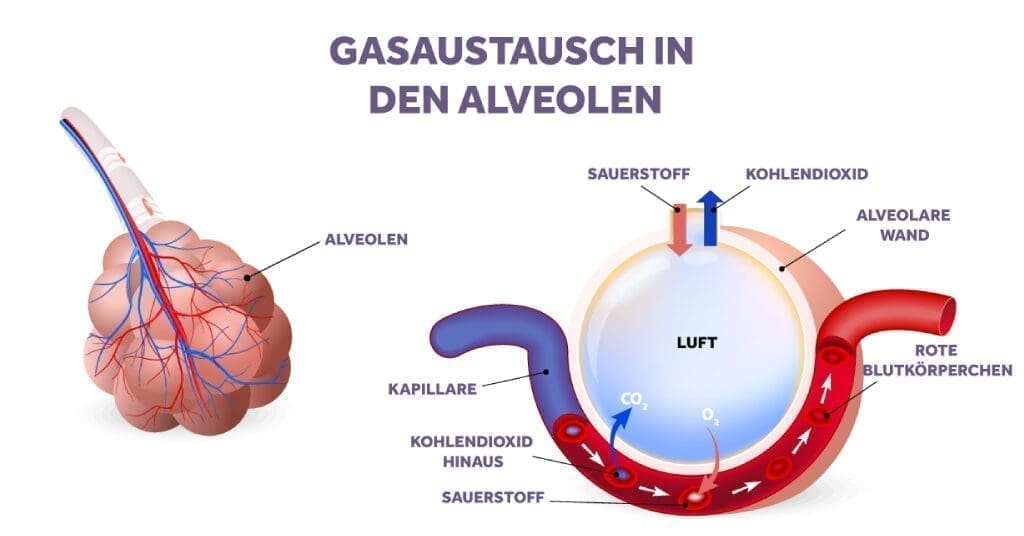 INSPIRE Postoperative Hypoxamie 1 Eakin Healthcare