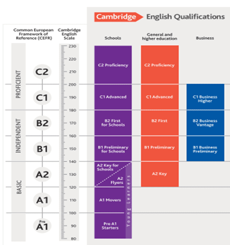 Health Literacy graph for