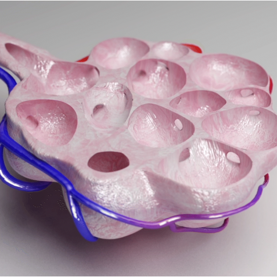 breathe loop Eakin Healthcare